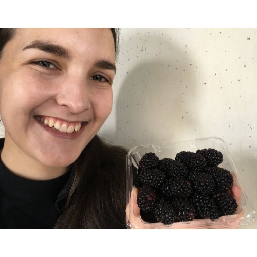 SPRAY FREE BLACKBERRIES 200 Gram Punnet Katikati Grown